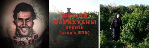 прущая мука Новодвинск