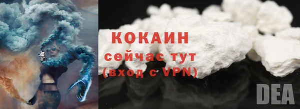 2c-b Новозыбков