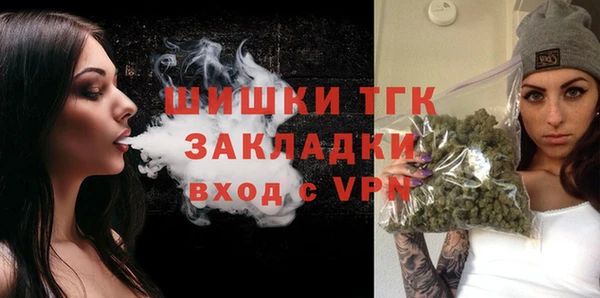 2c-b Новозыбков