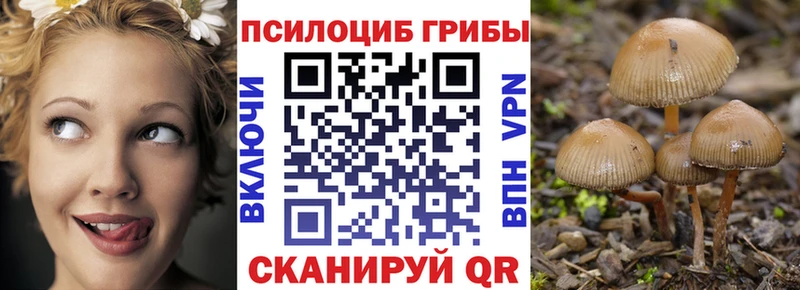 сколько стоит Сертолово гидра как войти Галлюциногенные грибы мицелий