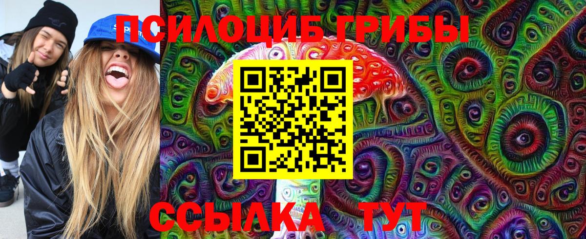 Псилоцибиновые грибы Cubensis  Галлюциногенные грибы Psilocybine cubensis  Сертолово  Вход с VPN 